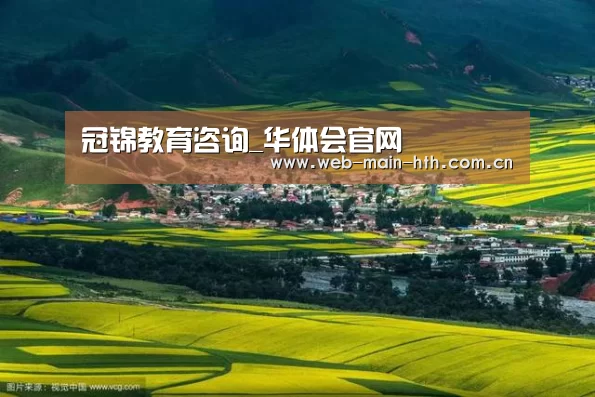 冠锦教育咨询_华体会官网(图4)