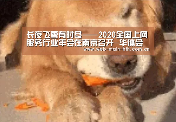 
长夜飞雪有时尽——2020全国上网服务行业年会在南京召开-华体会(图3)